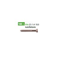 Vite autofilettante 2.5 1.4 10.0  - 9000000005211
